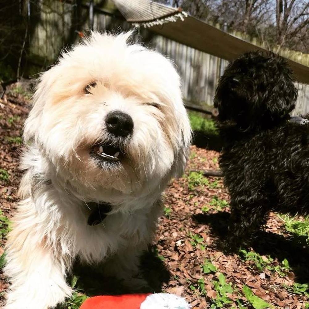 Meet your Posher, Karlena